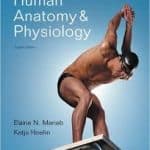 Anatomy And Physiology Notes Pdf