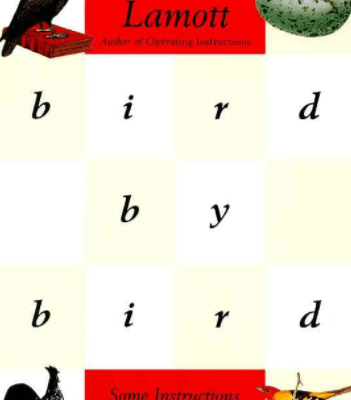 Bird by Bird PDF