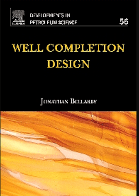 Well Completion Design PDF