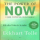 Practicing the Power of Now Pdf