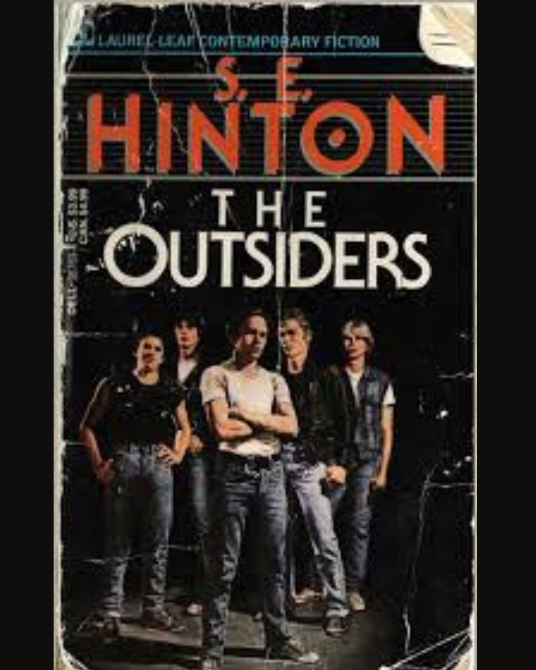 The Outsiders PDF Download | Full Summary & Study Guide 2025